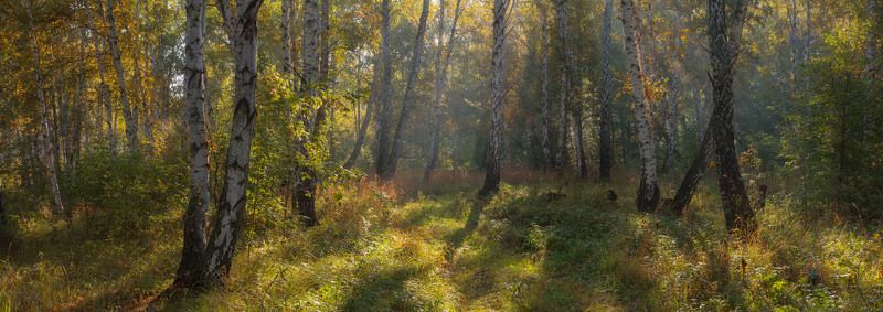 Воздух, которым хочется дышать фото превью
