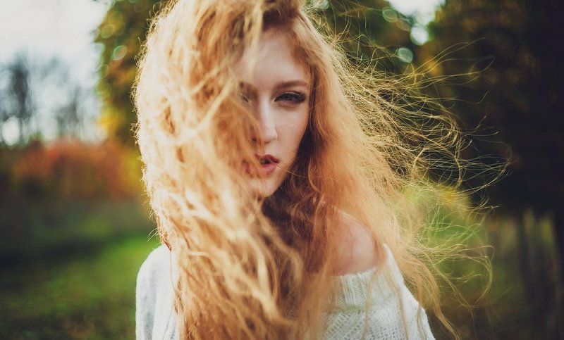 wind autumn фото превью