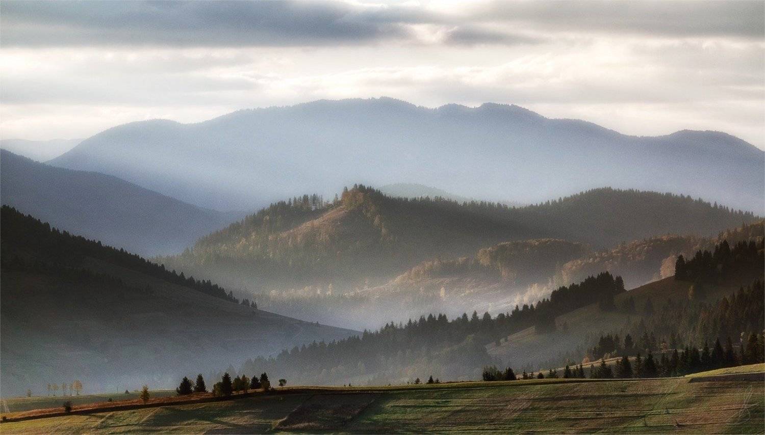 , Будин Николай