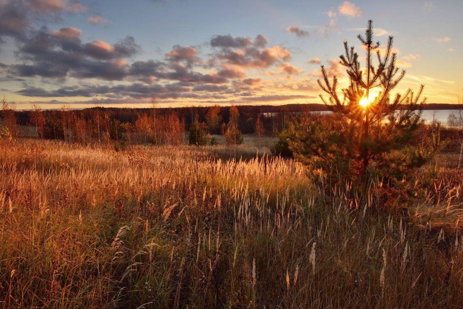 Вашутино, Максим Евдокимов