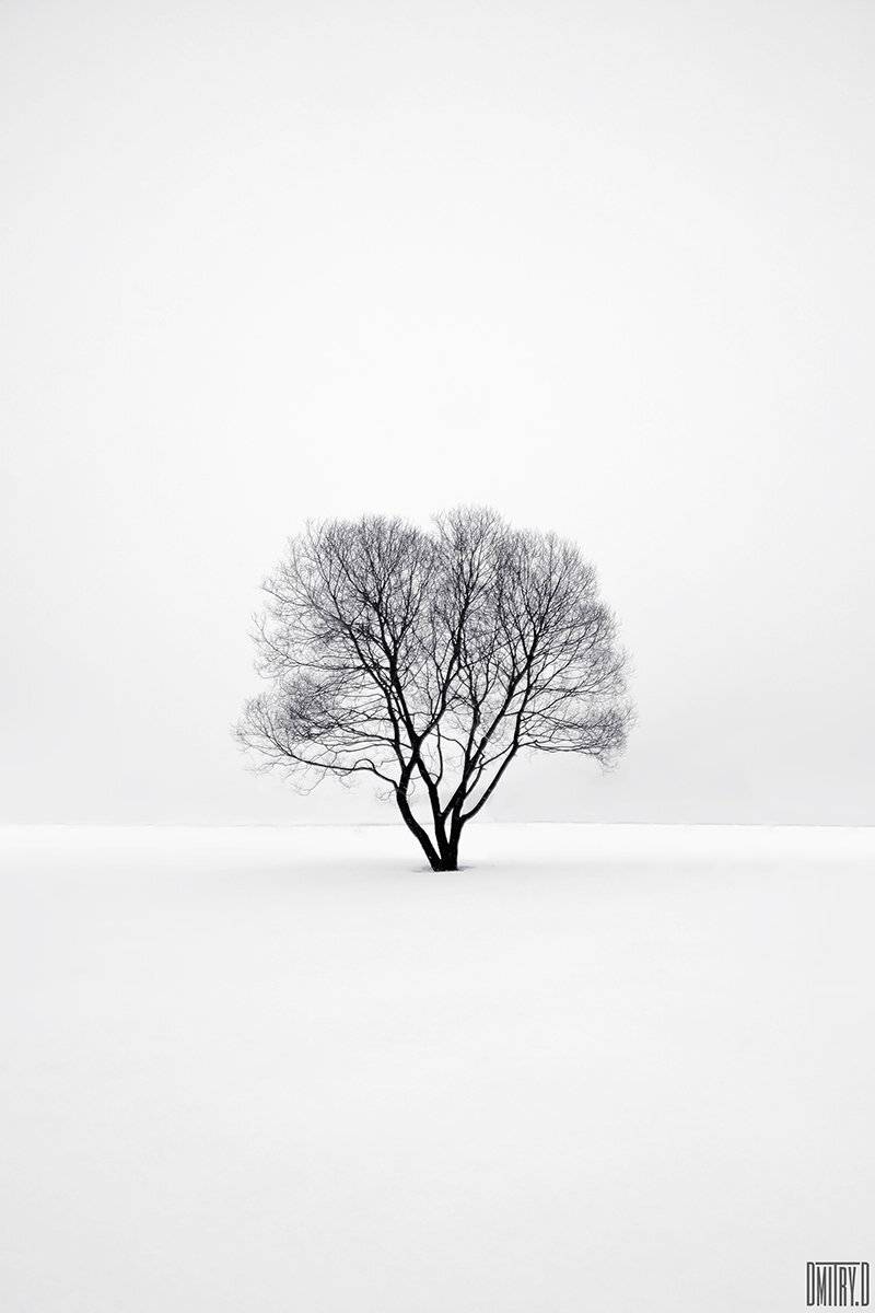 , Дмитрий Доронин