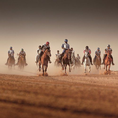 Horse Marathon II