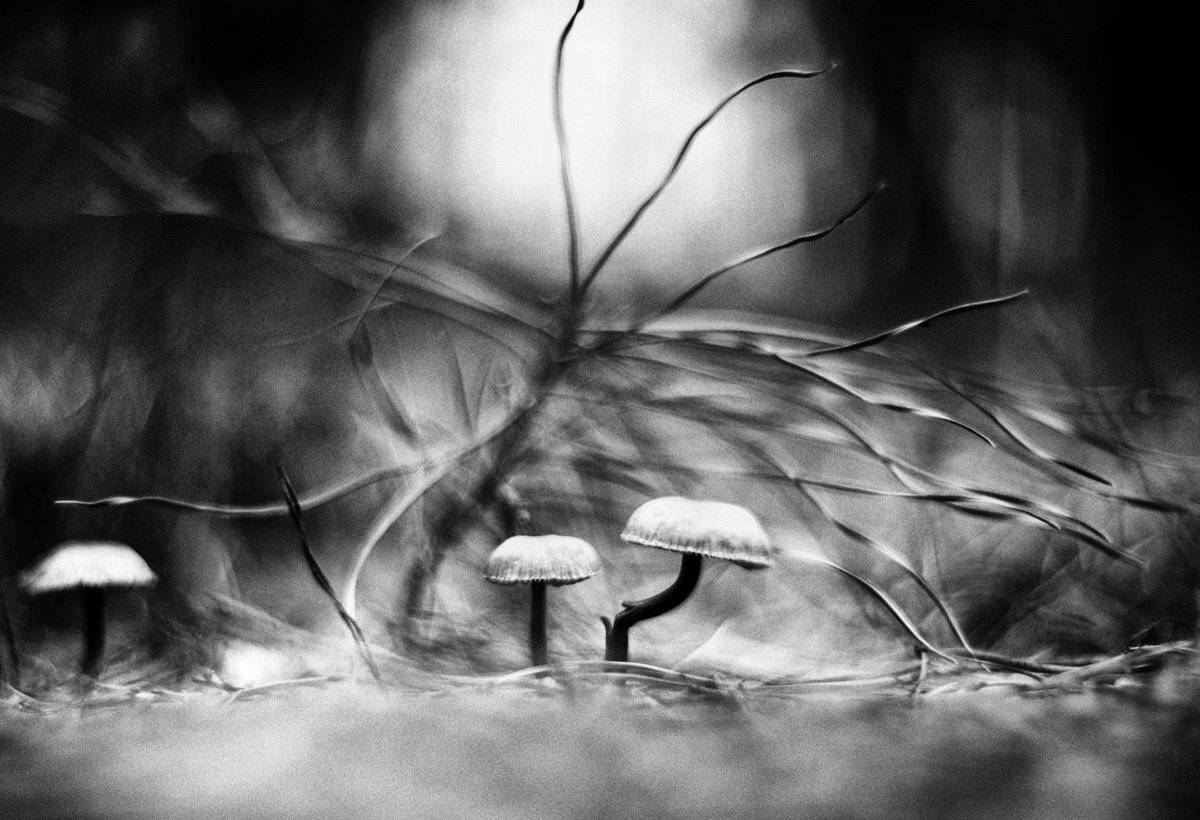 гелиос, 40-2, Татьяна Аверина