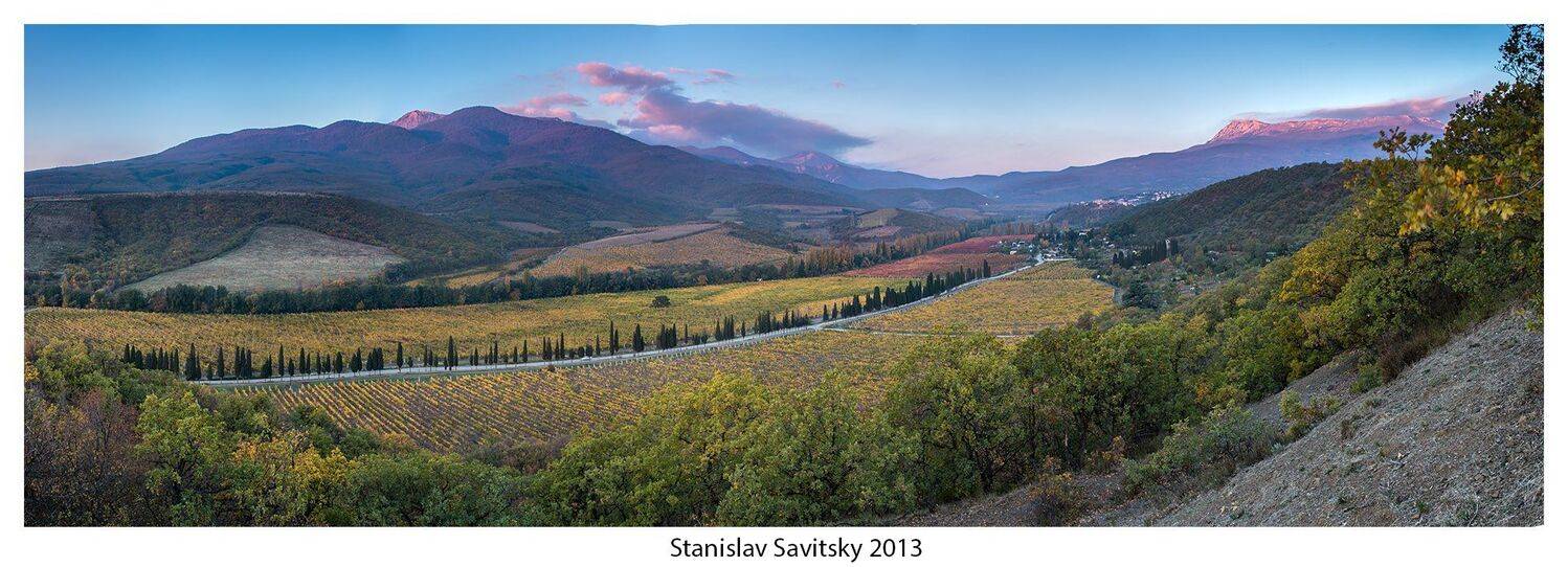 , Станислав Савицкий