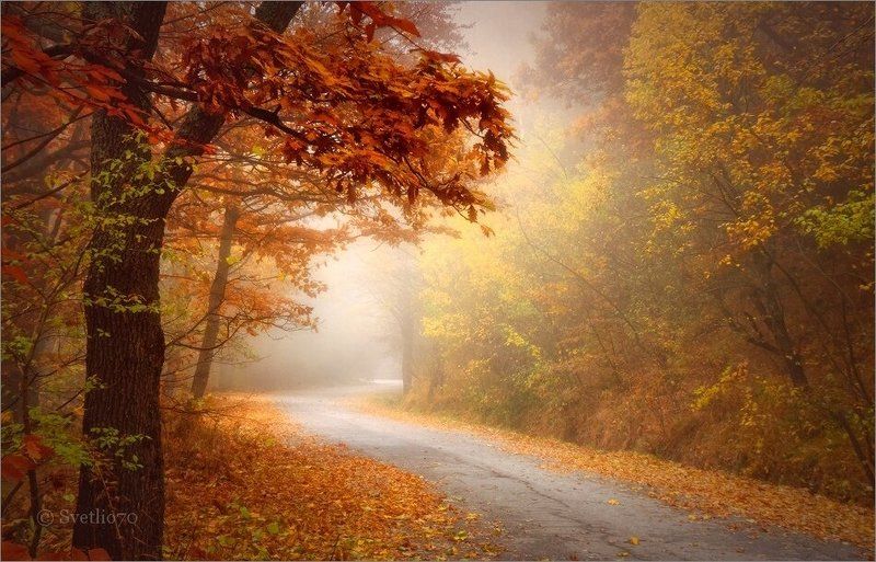 bulgaria, vitosha  фото превью