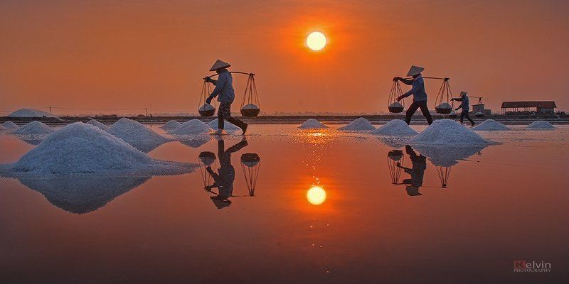 Đời Muối 4