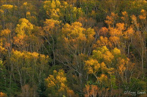 Осень на Холмском перевале