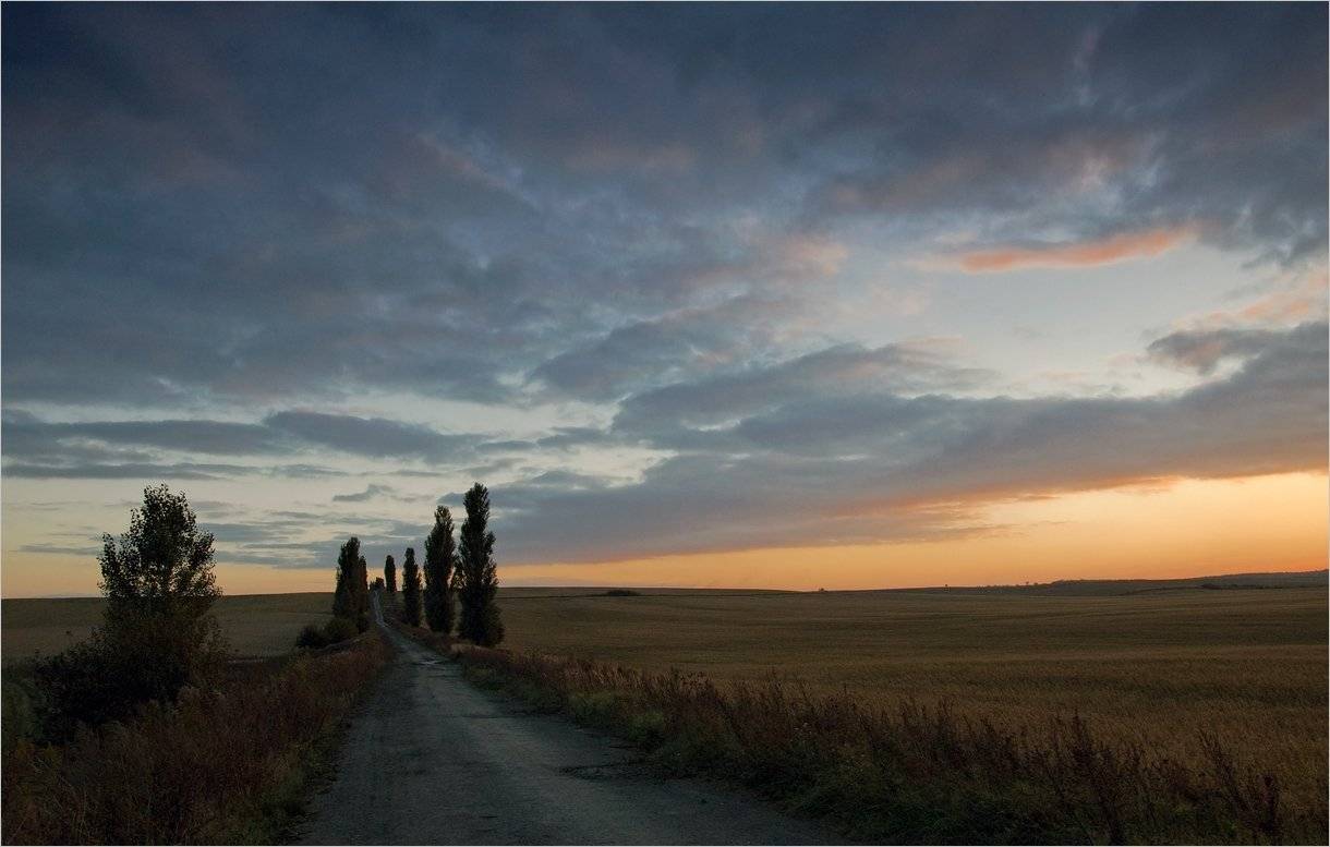 , Николай Шахманцир