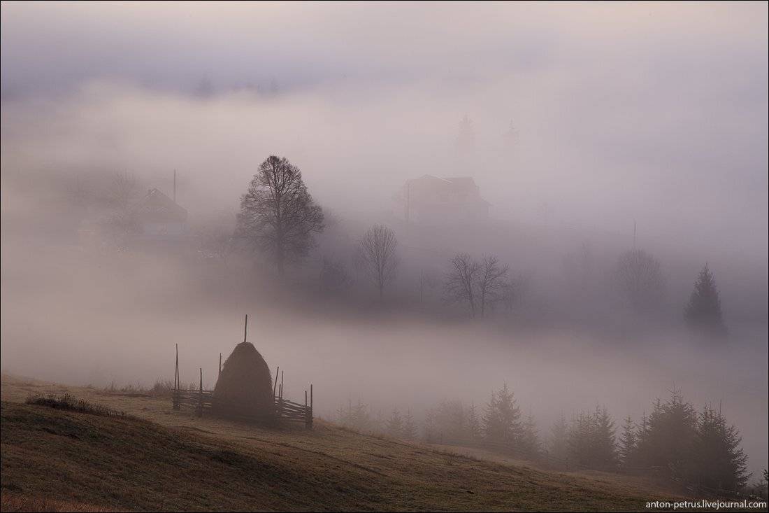 , Антон Петрусь