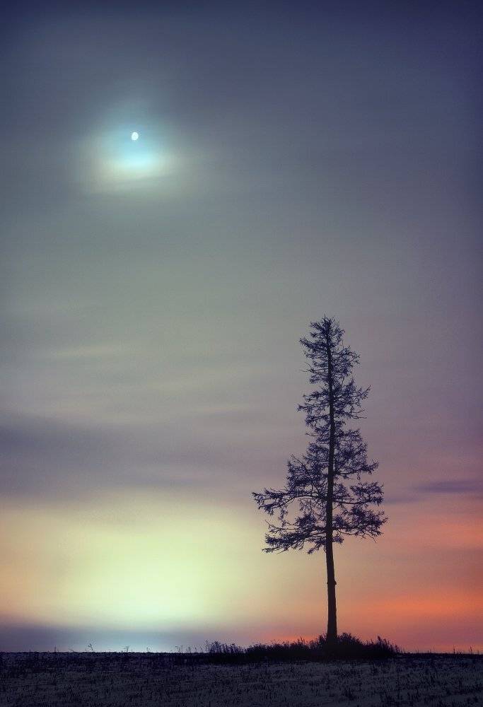 , Сергей Макурин