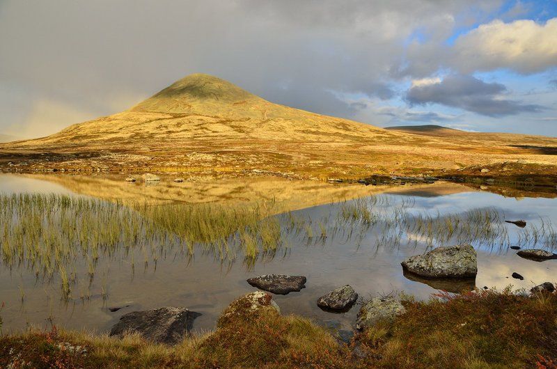 *** фото превью