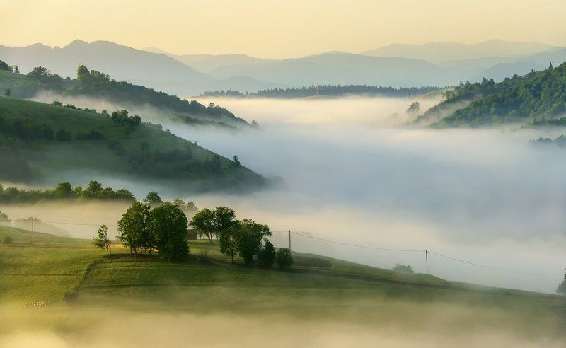 fog, hill, mountain, romania, sunset, transilvania Magical Morning фото превью