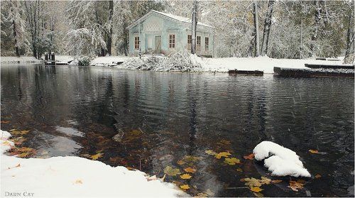 Первый снегопад