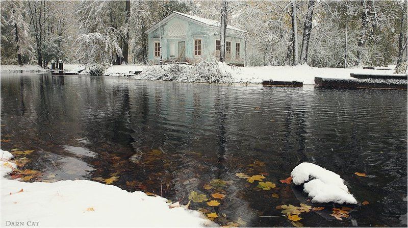 Первый снегопад фото превью