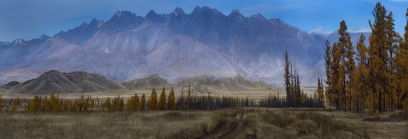 Ю_Ч фото превью