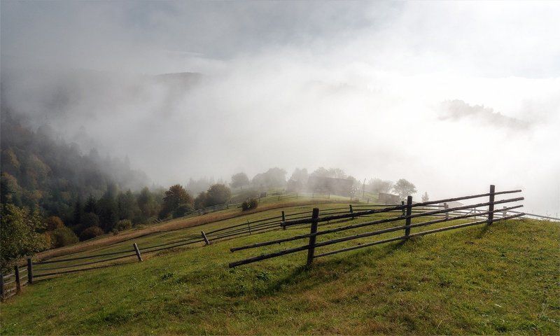 Карпатская фишайность... фото превью