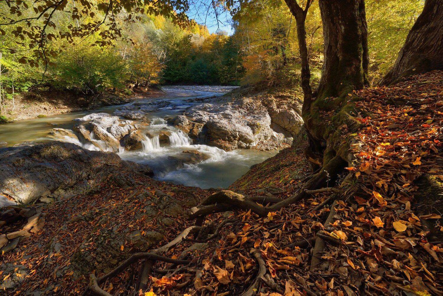 , Максим Евдокимов