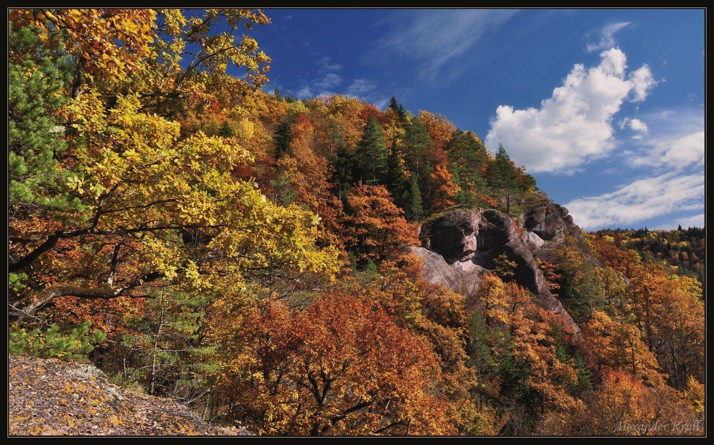 осень, краски, Александр Круль