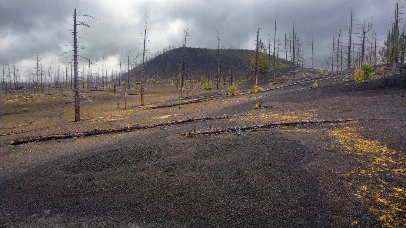 , Вадим Никифоров