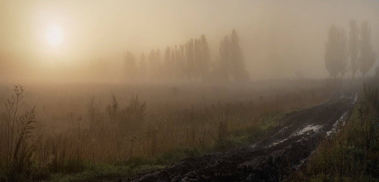 , Игорь Мелекесцев