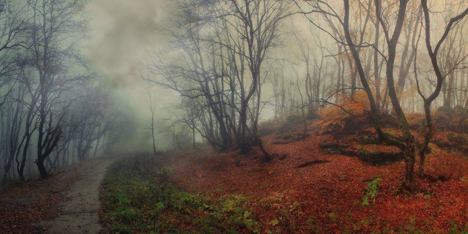 , Михаил  Пилипенко