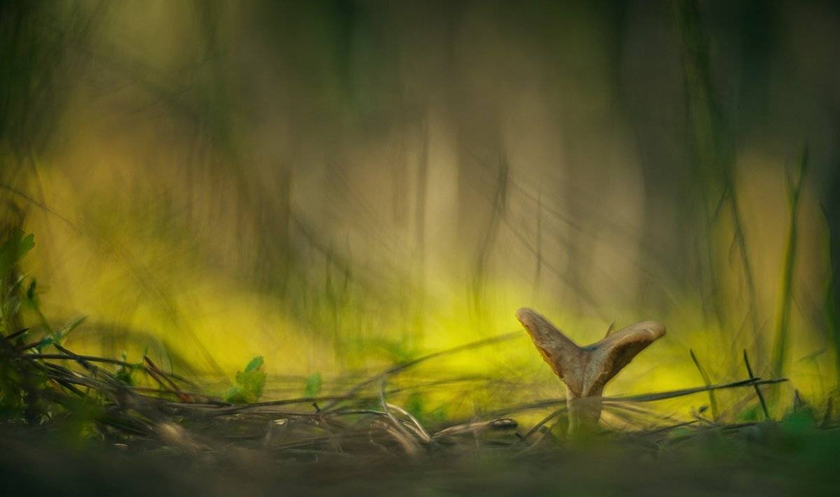 гелиос, 40-2, Татьяна Аверина