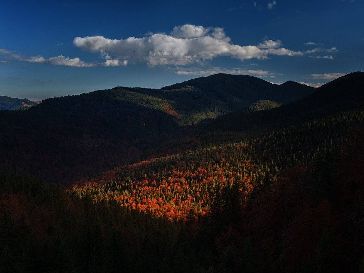 , Олег Логунов