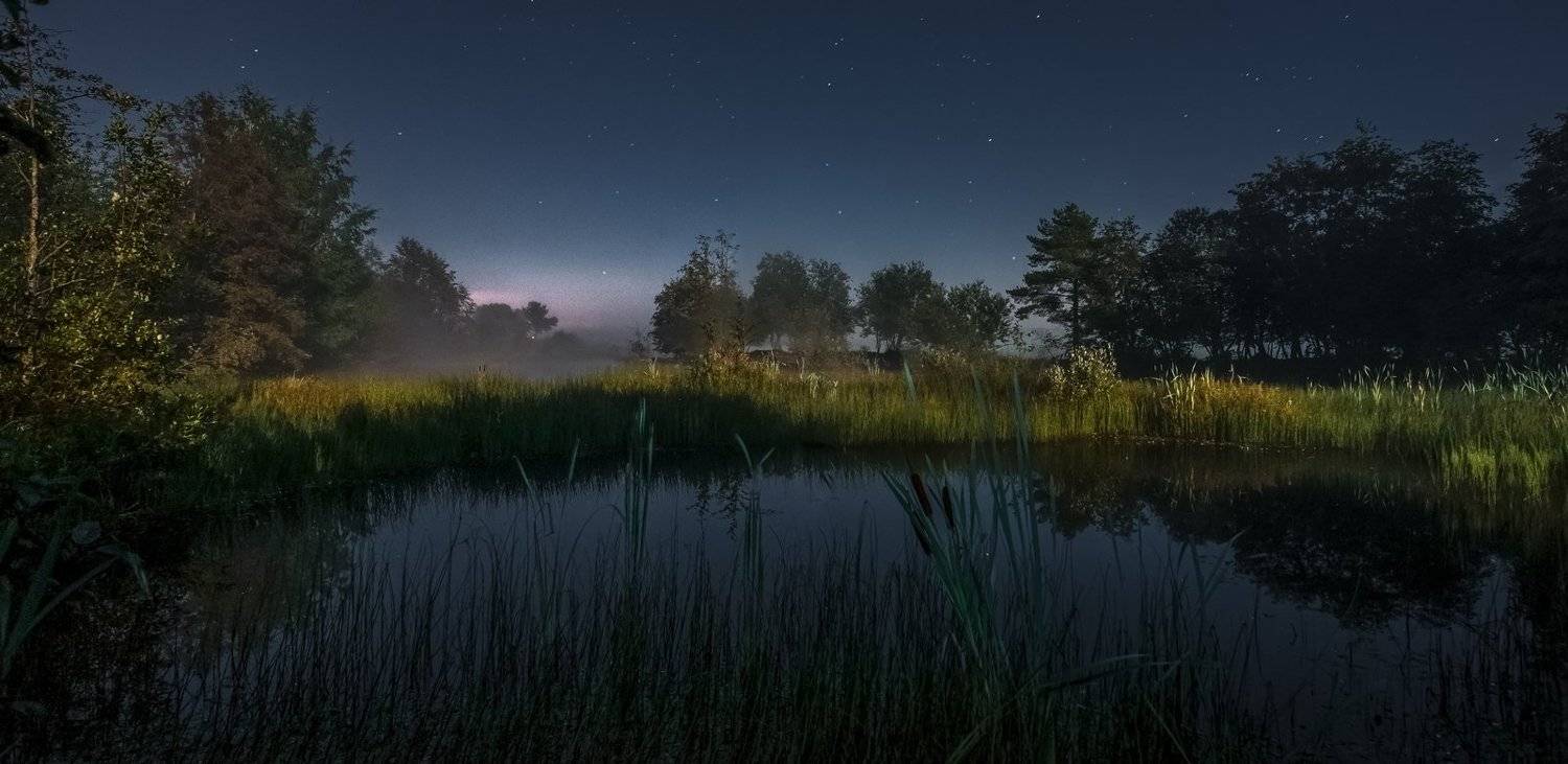 , Евгений Цветков