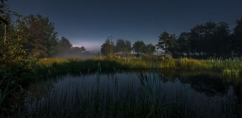 Летний сон в полнолуние фото превью