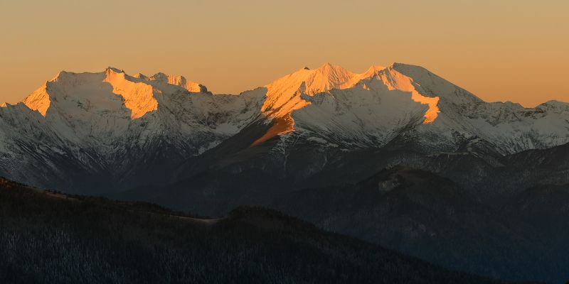КАК-ТО УТРОМ НА РАССВЕТЕ ЗАГЛЯНУЛ В СОСЕДНИЙ САД фото превью