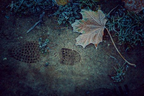 Осенние картинки