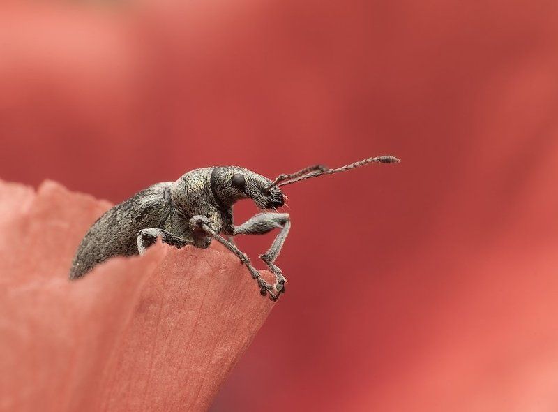 na balkonie фото превью