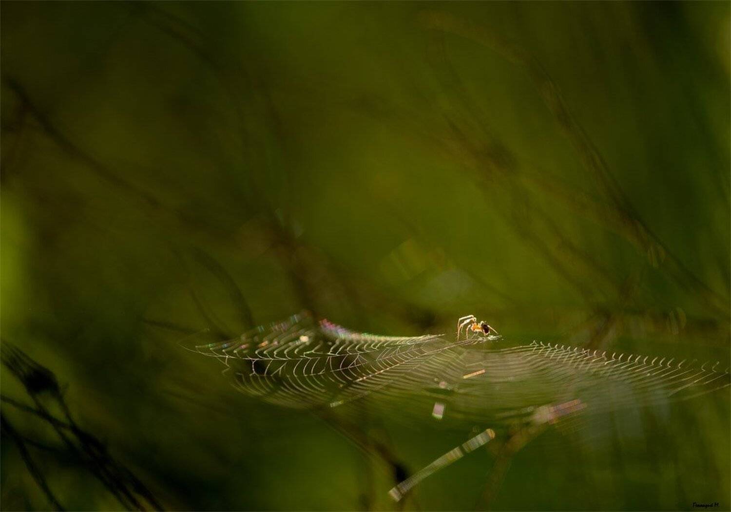 , Геннадий Мещеряков