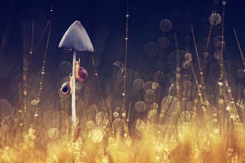 Race in Hell (гонки в аду)