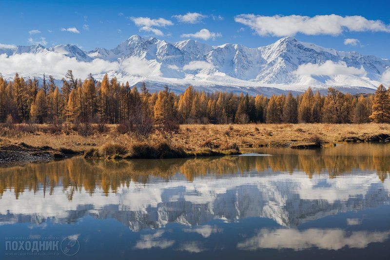 Курайская степь, Северо-чуйский хребет. Горный Алтай. фото превью