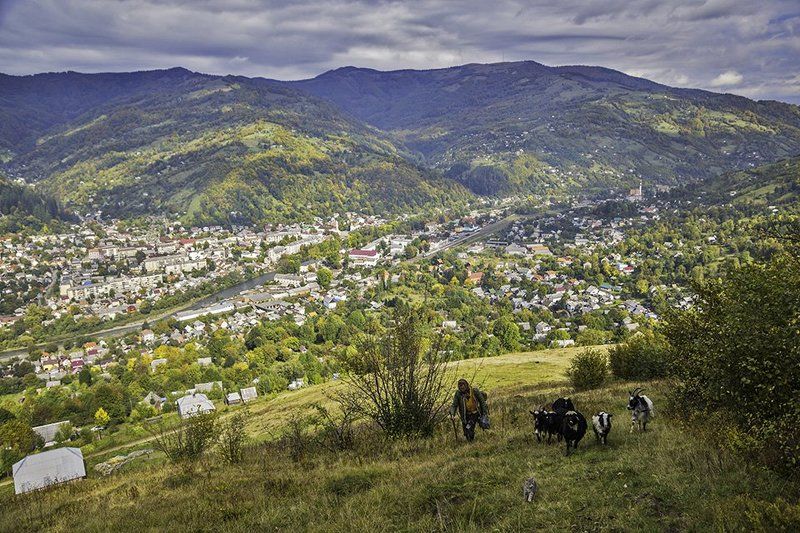 Жизнь в горах... фото превью