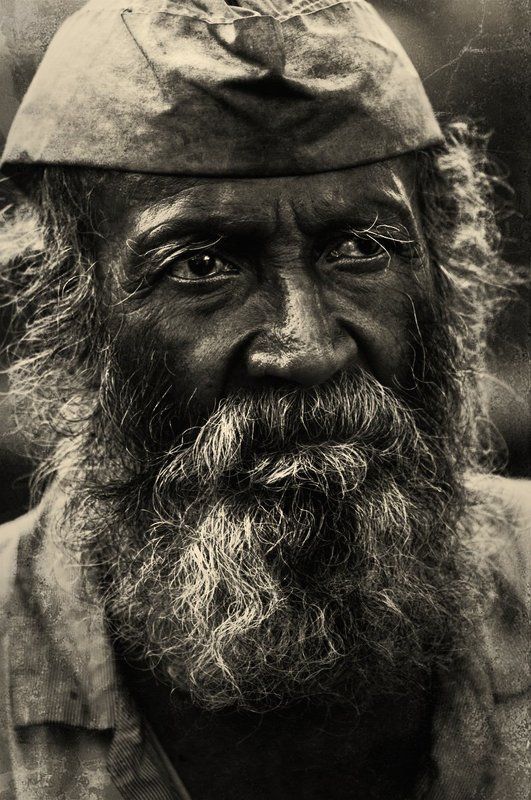 Torned beauties фото превью