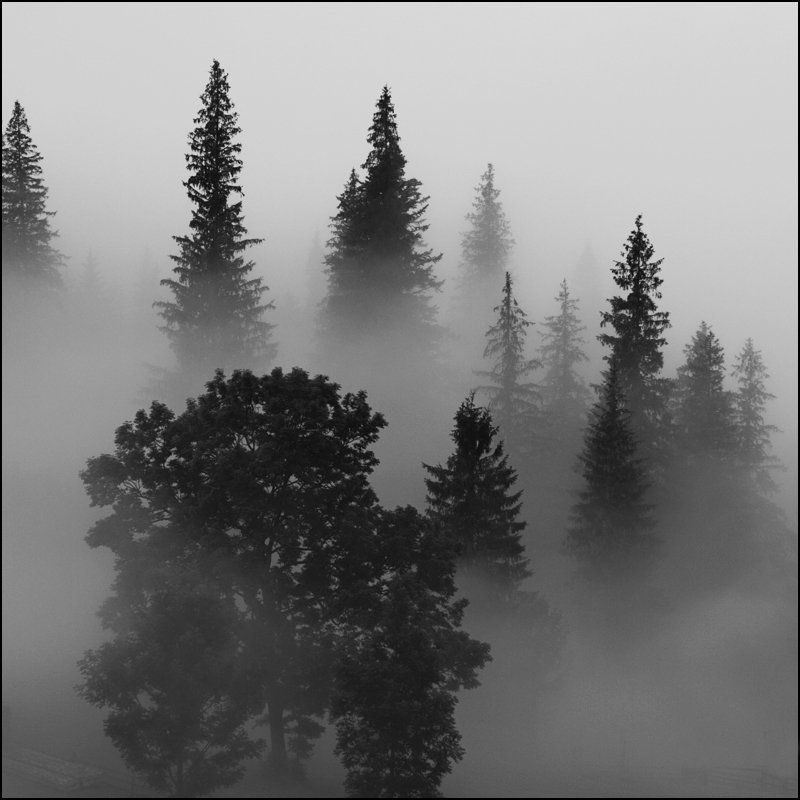 Призрачно все... фото превью