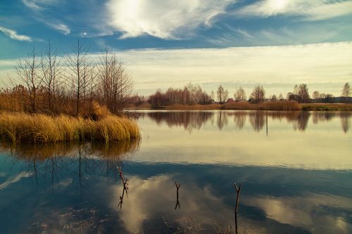 Проделки декабря