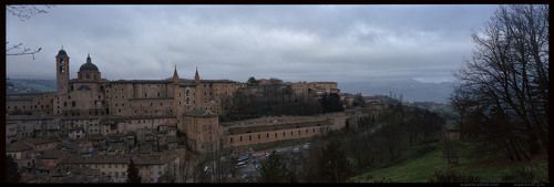 Urbino