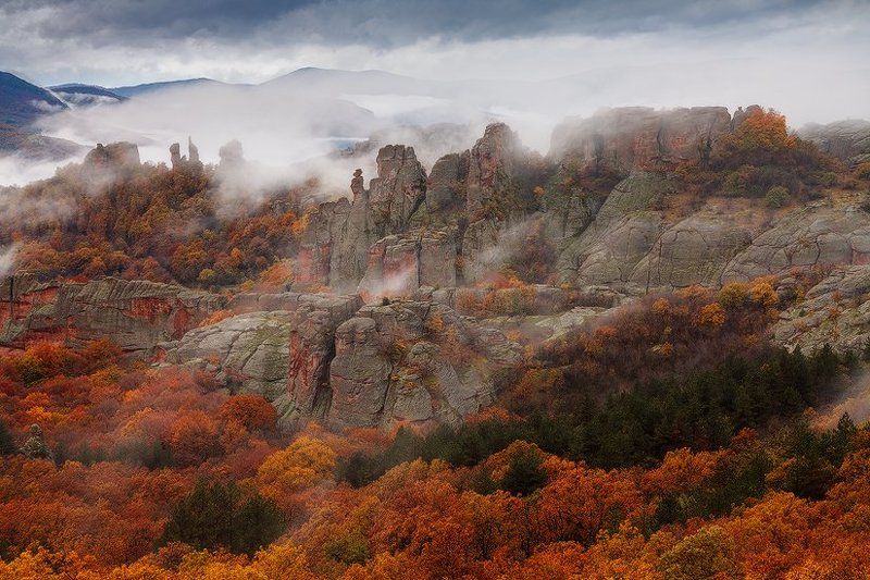 Autumn fogs фото превью