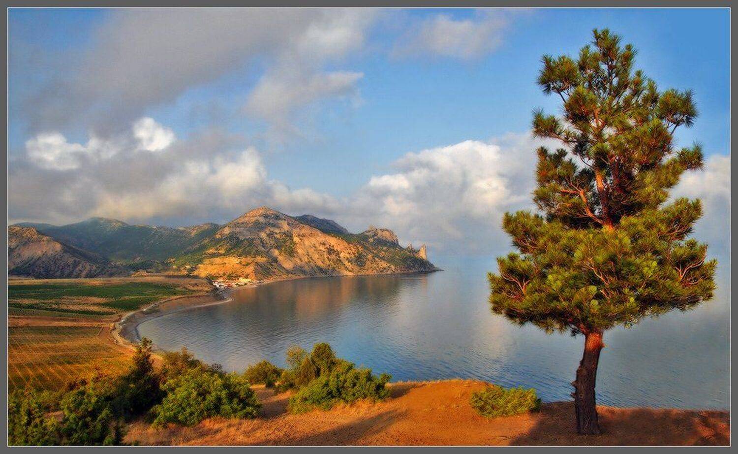 , Сергей Никсон