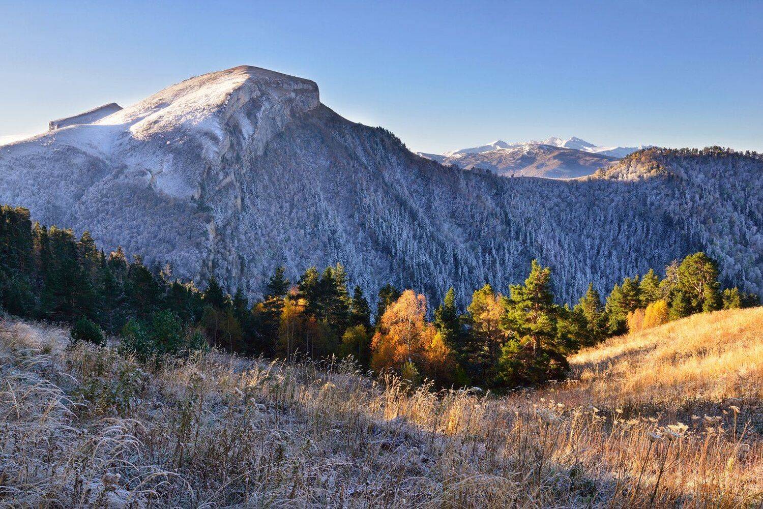 , Максим Евдокимов