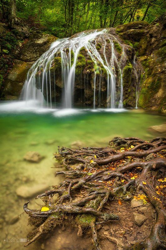 Линии Жизни фото превью