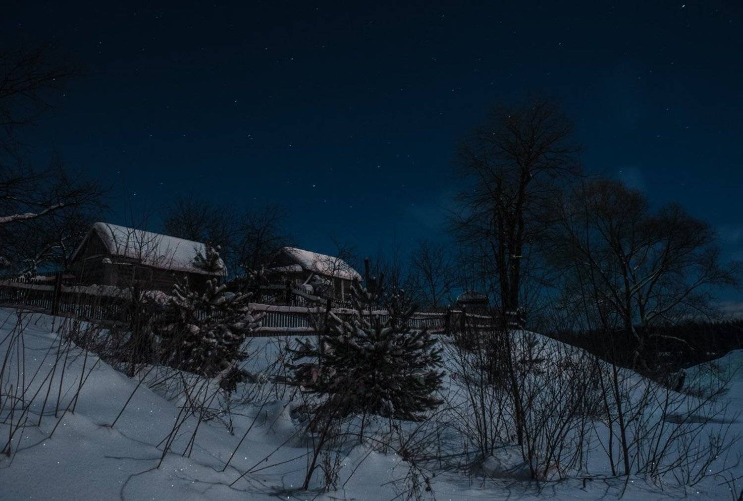 , Евгений Цветков