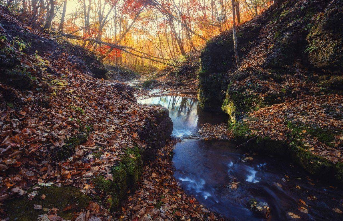 , Андрей Кровлин