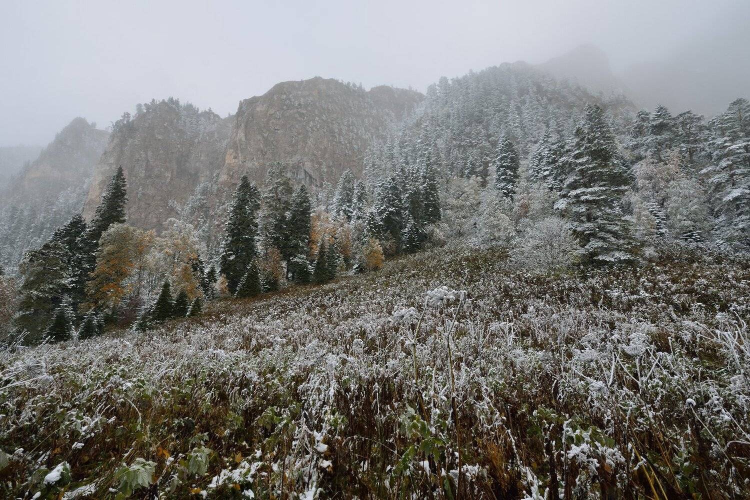 , Максим Евдокимов