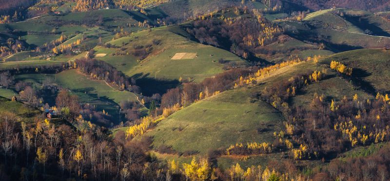 Last touch of autumn фото превью
