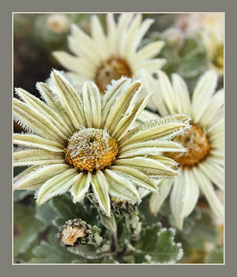 , Радковская Наталья