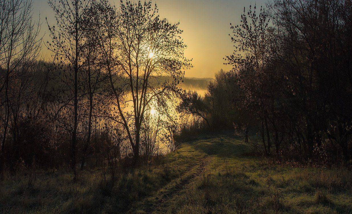 , Игорь Мелекесцев